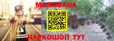 спиды Моздок
