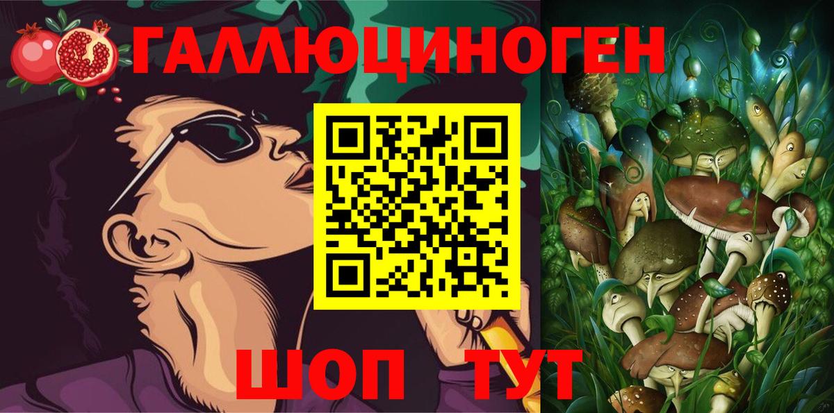 Псилоцибиновые грибы GOLDEN TEACHER Чернушка
