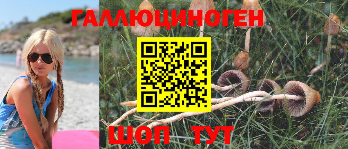 Галлюциногенные грибы Magic Shrooms  Вход с VPN  Чернушка  Псилоцибиновые грибы прущие грибы 